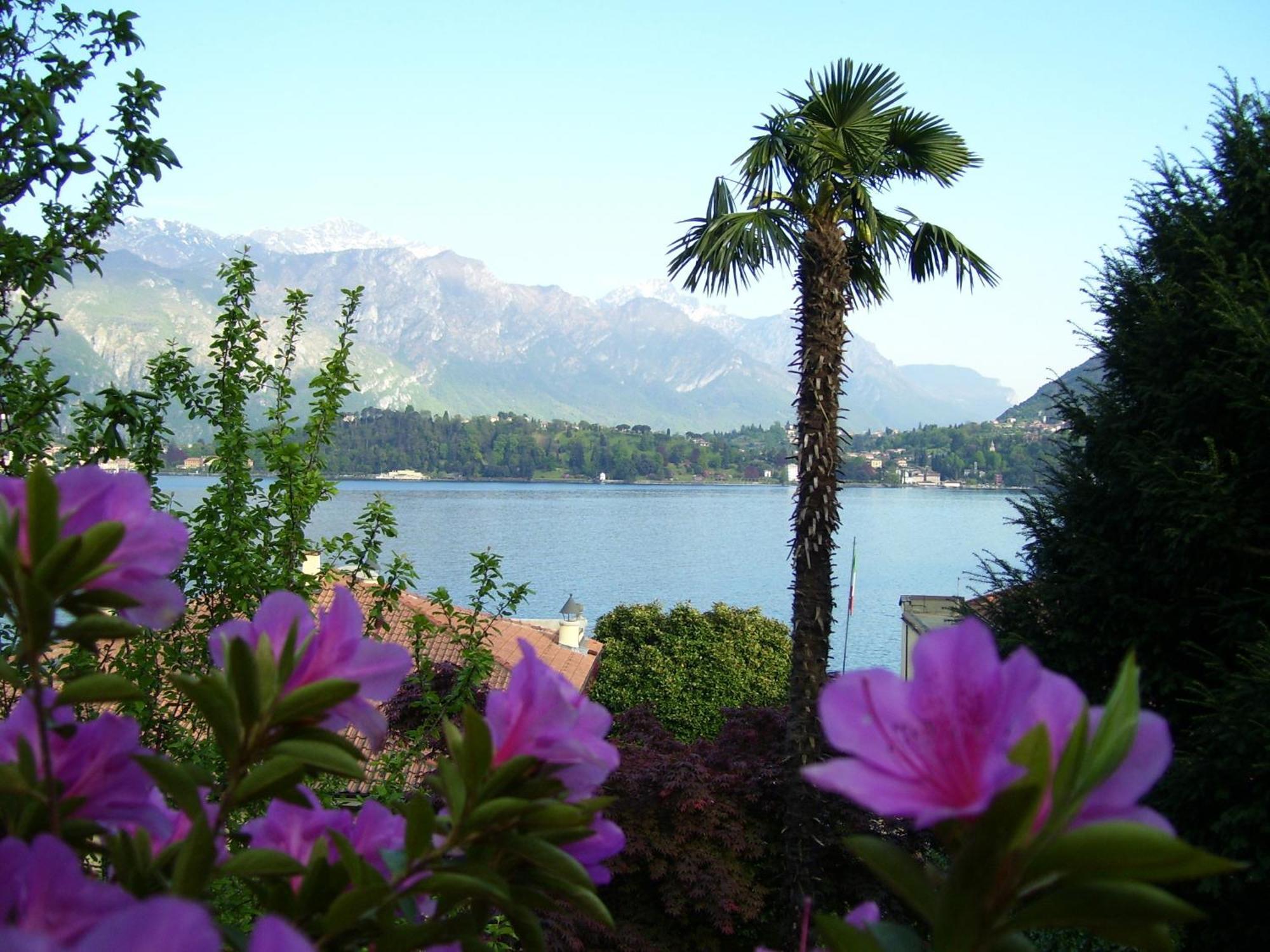 Villa La Mirabella Cadenabbia Εξωτερικό φωτογραφία